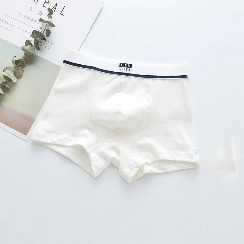 Pack de cinco ropa interior de algodón para niños transpirable