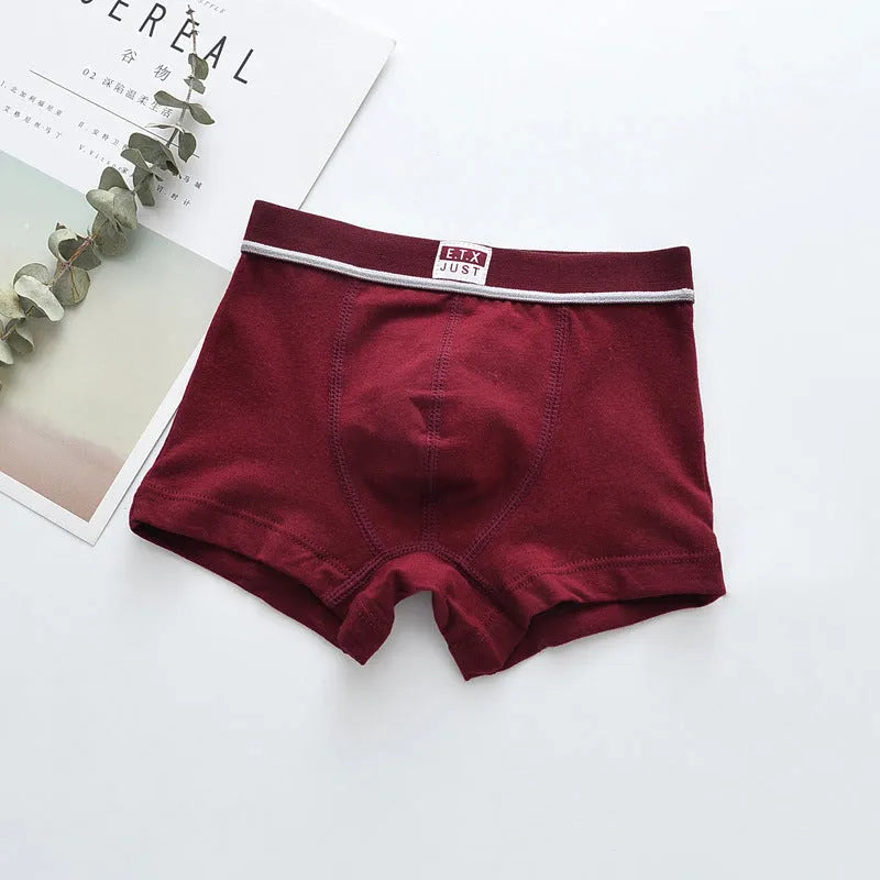 Pack de cinco ropa interior de algodón para niños transpirable