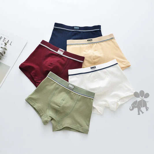 Pack de cinco ropa interior de algodón para niños transpirable