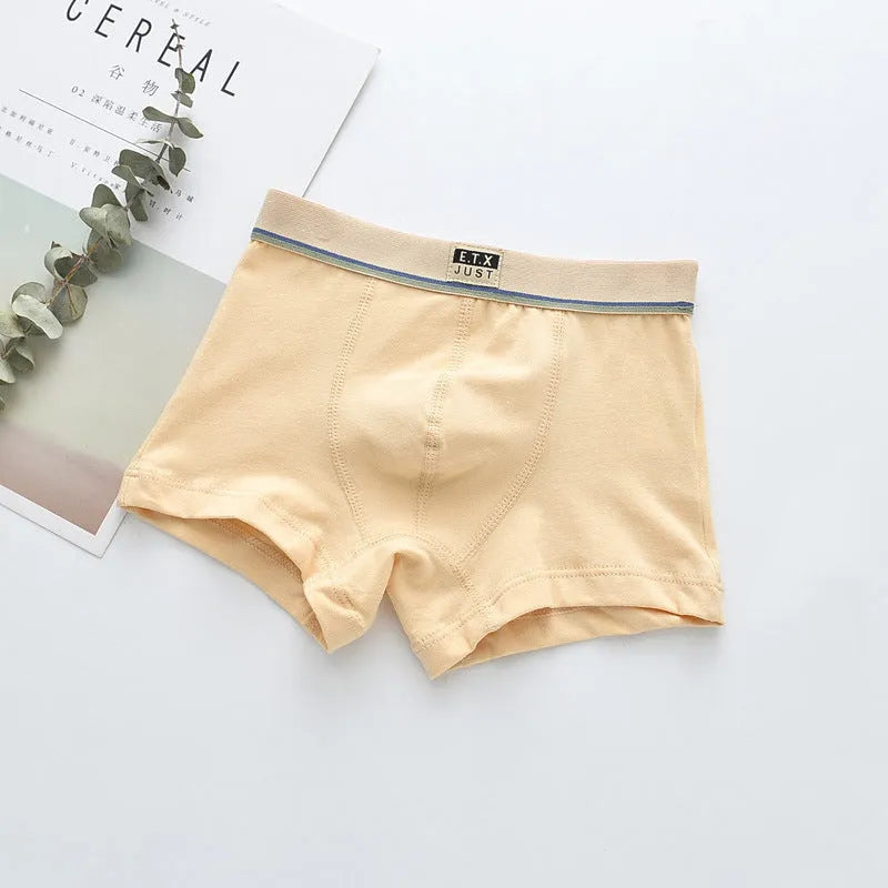 Pack de cinco ropa interior de algodón para niños transpirable