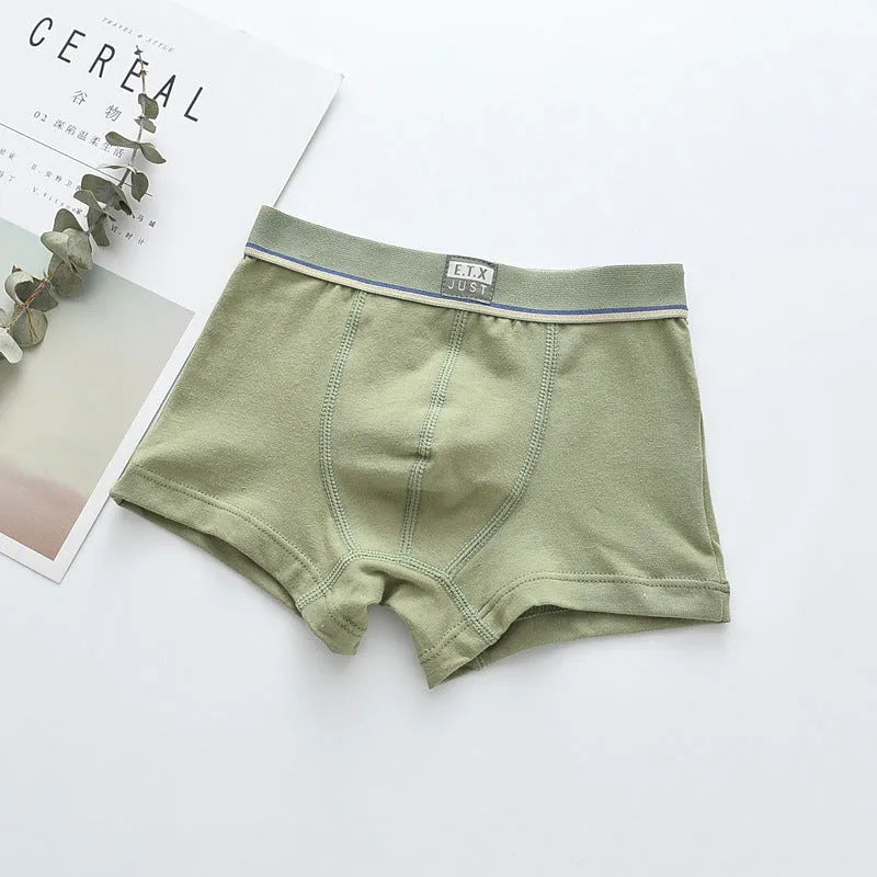 Pack de cinco ropa interior de algodón para niños transpirable